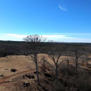 Photo #54 of 1081 Lennig Road, Nathalie, VA 161.5 acres