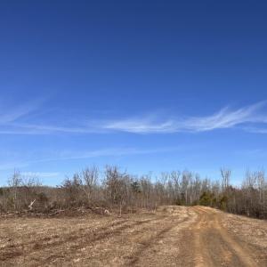 Photo #82 of 1081 Lennig Road, Nathalie, VA 161.5 acres