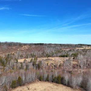 Photo #24 of 1081 Lennig Road, Nathalie, VA 161.5 acres