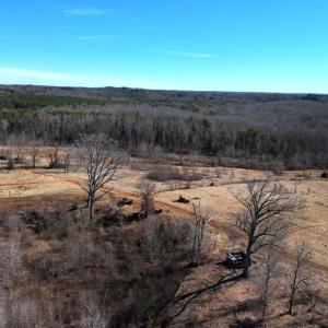 Photo #74 of 1081 Lennig Road, Nathalie, VA 161.5 acres