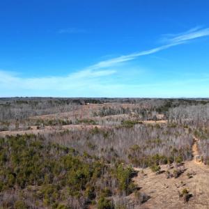 Photo #30 of 1081 Lennig Road, Nathalie, VA 161.5 acres