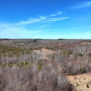 Photo #58 of 1081 Lennig Road, Nathalie, VA 161.5 acres