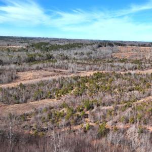 Photo #77 of 1081 Lennig Road, Nathalie, VA 161.5 acres