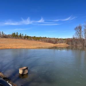 Photo #11 of 1081 Lennig Road, Nathalie, VA 161.5 acres