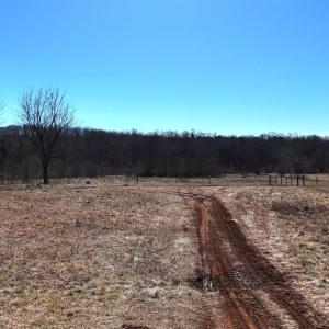 Photo #52 of 1081 Lennig Road, Nathalie, VA 161.5 acres