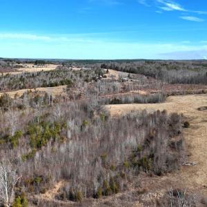 Photo #80 of 1081 Lennig Road, Nathalie, VA 161.5 acres