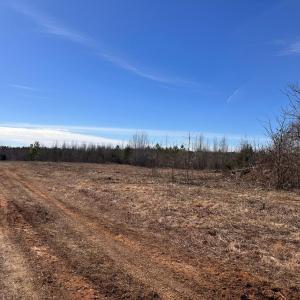 Photo #91 of 1081 Lennig Road, Nathalie, VA 161.5 acres