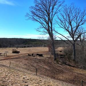 Photo #43 of 1081 Lennig Road, Nathalie, VA 161.5 acres