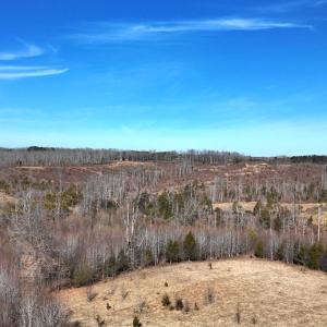 Photo #59 of 1081 Lennig Road, Nathalie, VA 161.5 acres