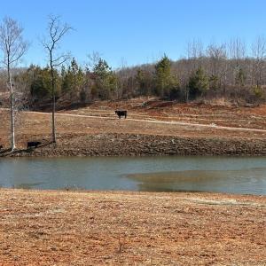 Photo #95 of 1081 Lennig Road, Nathalie, VA 161.5 acres