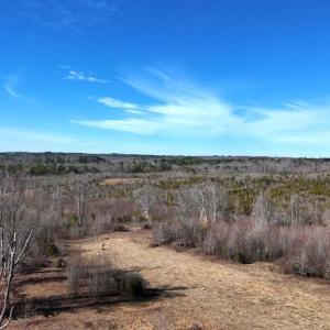 Photo #56 of 1081 Lennig Road, Nathalie, VA 161.5 acres