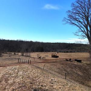 Photo #42 of 1081 Lennig Road, Nathalie, VA 161.5 acres