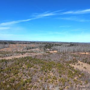 Photo #34 of 1081 Lennig Road, Nathalie, VA 161.5 acres