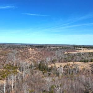 Photo #36 of 1081 Lennig Road, Nathalie, VA 161.5 acres