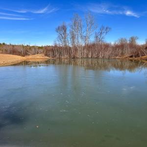 Photo #10 of 1081 Lennig Road, Nathalie, VA 161.5 acres
