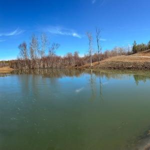 Photo #12 of 1081 Lennig Road, Nathalie, VA 161.5 acres