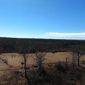 Photo #66 of 1081 Lennig Road, Nathalie, VA 161.5 acres