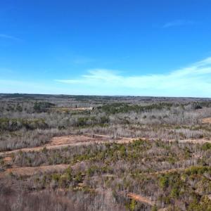 Photo #33 of 1081 Lennig Road, Nathalie, VA 161.5 acres