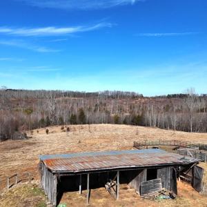 Photo #16 of 1081 Lennig Road, Nathalie, VA 161.5 acres