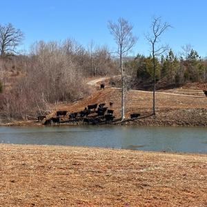 Photo #94 of 1081 Lennig Road, Nathalie, VA 161.5 acres