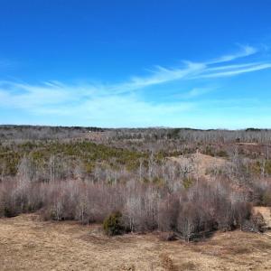 Photo #57 of 1081 Lennig Road, Nathalie, VA 161.5 acres