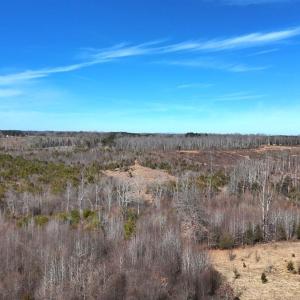 Photo #17 of 1081 Lennig Road, Nathalie, VA 161.5 acres