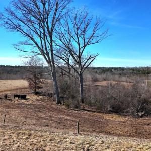 Photo #44 of 1081 Lennig Road, Nathalie, VA 161.5 acres