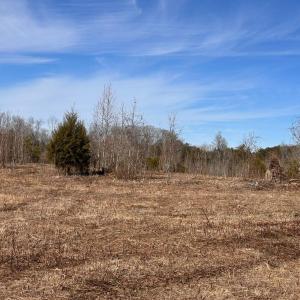 Photo #93 of 1081 Lennig Road, Nathalie, VA 161.5 acres