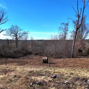 Photo #51 of 1081 Lennig Road, Nathalie, VA 161.5 acres