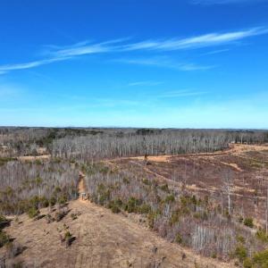 Photo #29 of 1081 Lennig Road, Nathalie, VA 161.5 acres