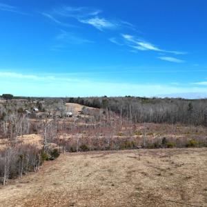 Photo #61 of 1081 Lennig Road, Nathalie, VA 161.5 acres