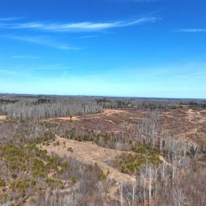 Photo #35 of 1081 Lennig Road, Nathalie, VA 161.5 acres