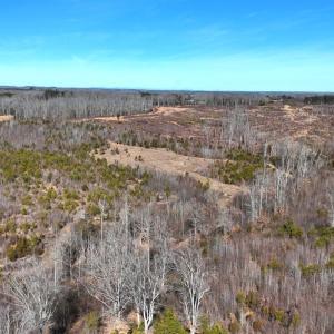 Photo #70 of 1081 Lennig Road, Nathalie, VA 161.5 acres