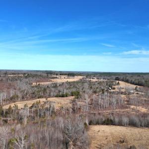 Photo #37 of 1081 Lennig Road, Nathalie, VA 161.5 acres