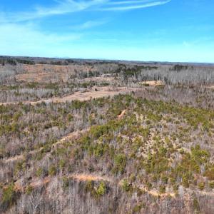 Photo #78 of 1081 Lennig Road, Nathalie, VA 161.5 acres