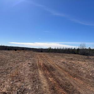 Photo #90 of 1081 Lennig Road, Nathalie, VA 161.5 acres