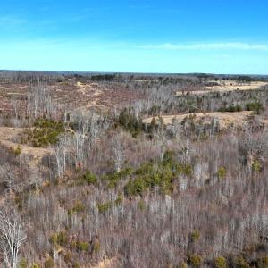 Photo #71 of 1081 Lennig Road, Nathalie, VA 161.5 acres