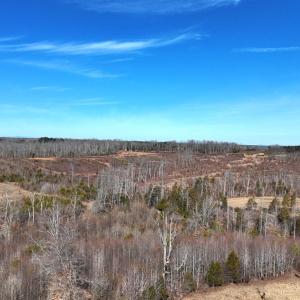 Photo #19 of 1081 Lennig Road, Nathalie, VA 161.5 acres