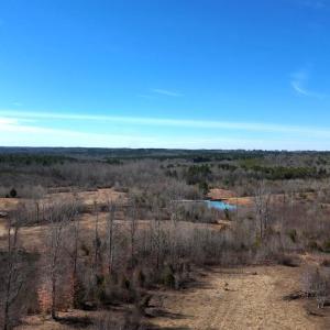 Photo #67 of 1081 Lennig Road, Nathalie, VA 161.5 acres