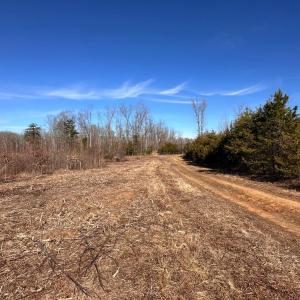 Photo #89 of 1081 Lennig Road, Nathalie, VA 161.5 acres