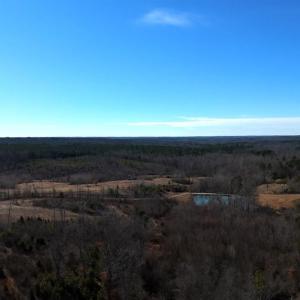 Photo #31 of 1081 Lennig Road, Nathalie, VA 161.5 acres