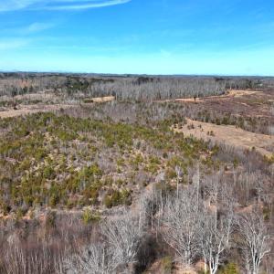 Photo #69 of 1081 Lennig Road, Nathalie, VA 161.5 acres