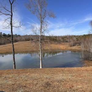 Photo #8 of 1081 Lennig Road, Nathalie, VA 161.5 acres