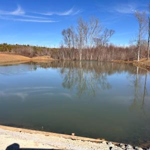 Photo #6 of 1081 Lennig Road, Nathalie, VA 161.5 acres