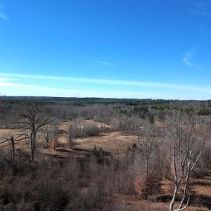 Photo #55 of 1081 Lennig Road, Nathalie, VA 161.5 acres