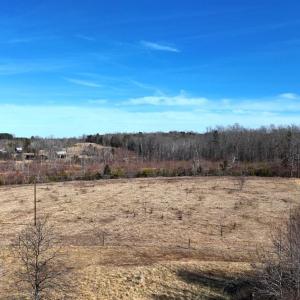 Photo #14 of 1081 Lennig Road, Nathalie, VA 161.5 acres