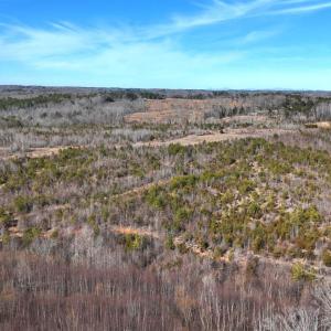 Photo #68 of 1081 Lennig Road, Nathalie, VA 161.5 acres