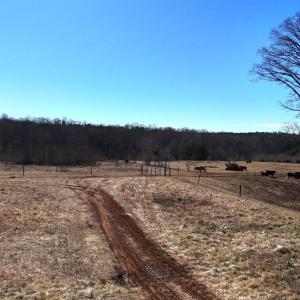 Photo #21 of 1081 Lennig Road, Nathalie, VA 161.5 acres