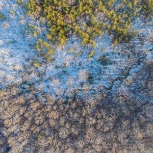 Photo #21 of TBD Earley Farm Road, Amherst, VA 123.4 acres