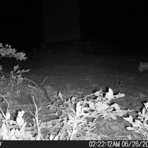 Photo #54 of TBD Earley Farm Road, Amherst, VA 123.4 acres